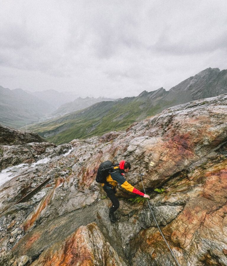 Foto 2024 09 08 12 03 44 768x1024