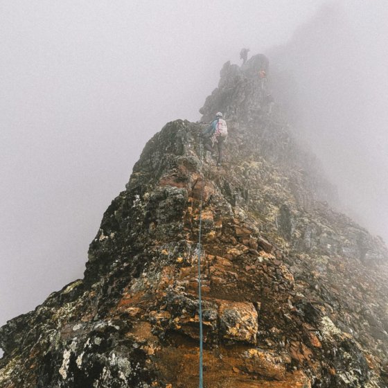 8e86c7a7 82ed 461a b3c0 8fd4a0242f02 1536x2048 2