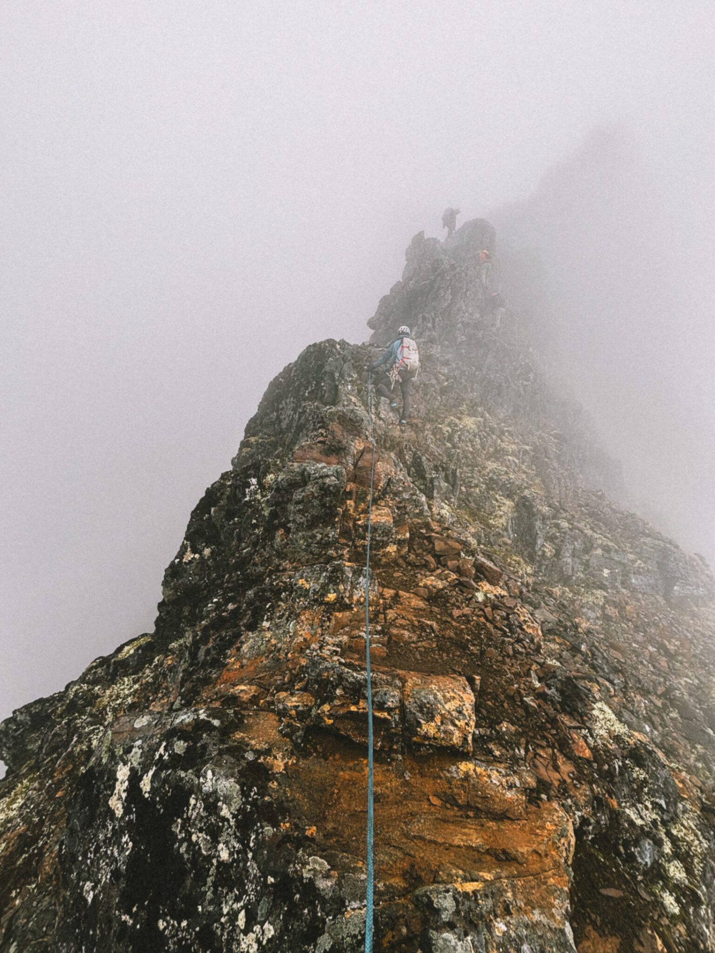 8e86c7a7 82ed 461a b3c0 8fd4a0242f02 1536x2048 2