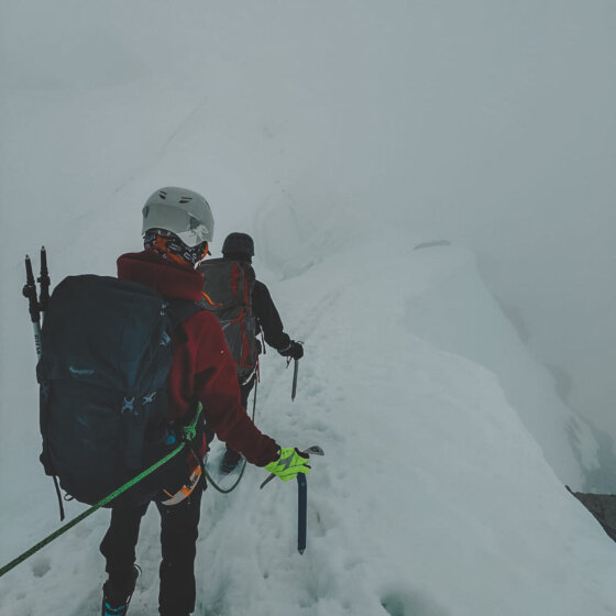 Whatsapp image 2025 07 09 at 12.08.53