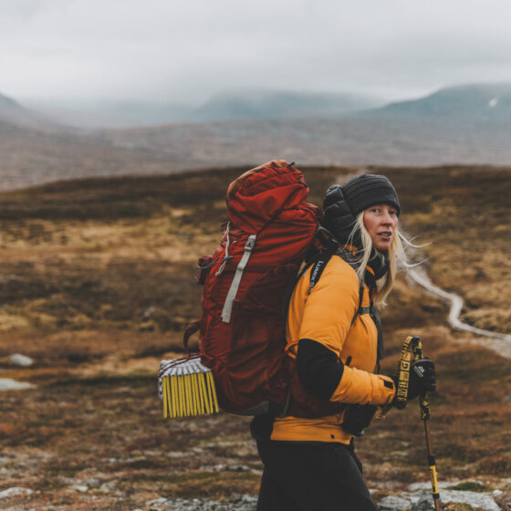 Sylarna adrianpehrson 14