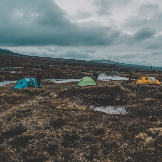 Sylarna adrianpehrson 19