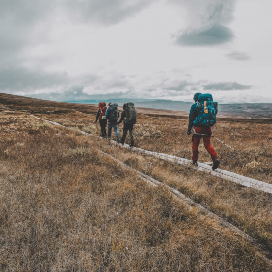 Sylarna adrianpehrson 8