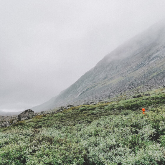 Img 20200701 094059 red