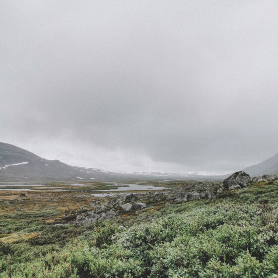 Img 20200701 094109 1 red