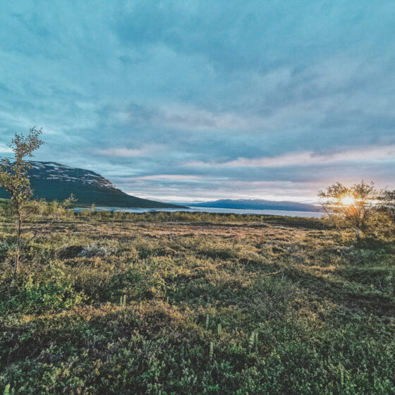 Img 20200703 021812 red