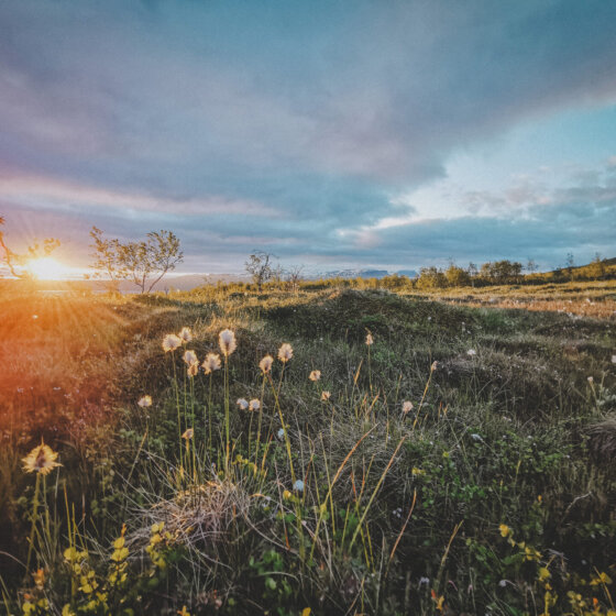 Img 20200703 022257 red