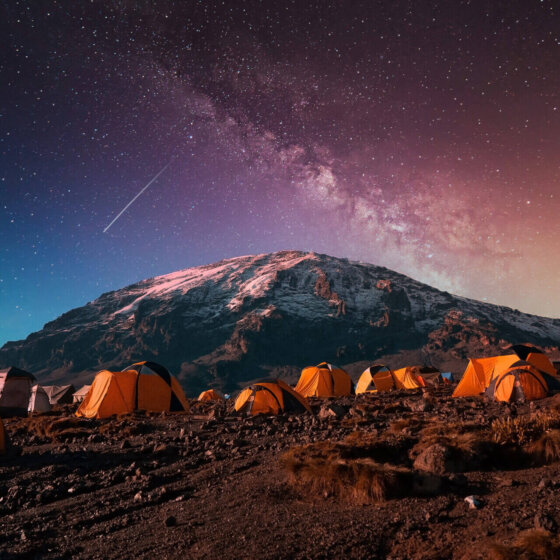 Istock 1437524446