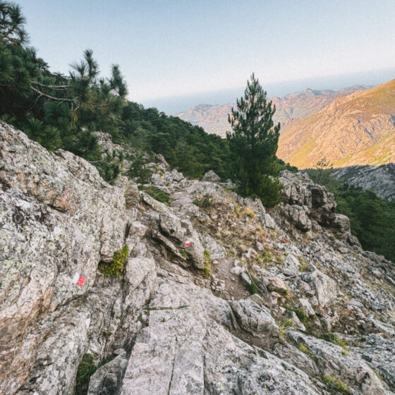 68933b63 3a80 443c 93dd a5c63bc155f8