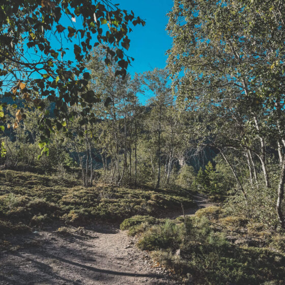 Img 9543