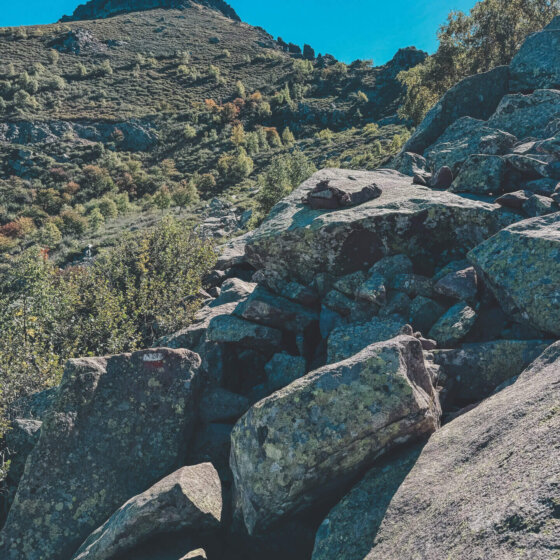 Img 9559