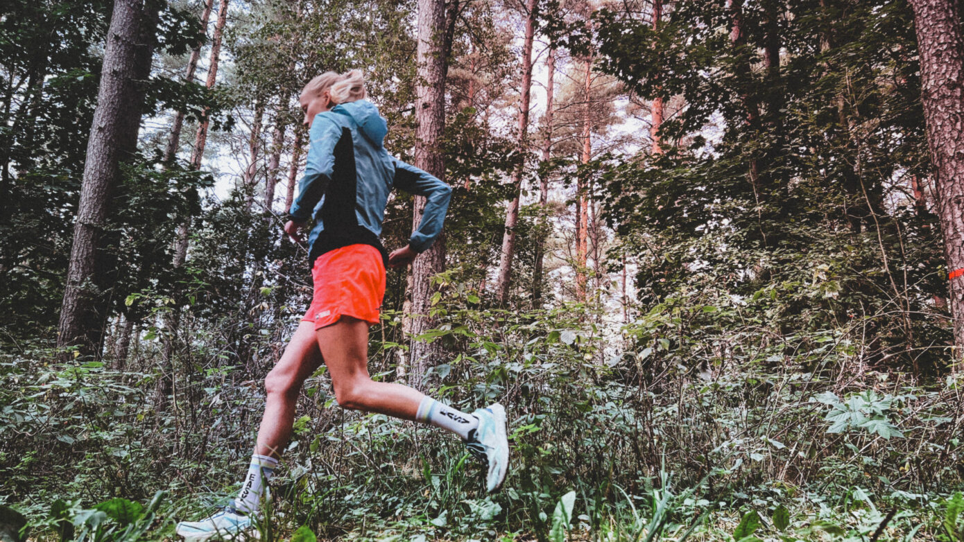 9af66d21 d545 4b0e a2c6 87697feb7f3e