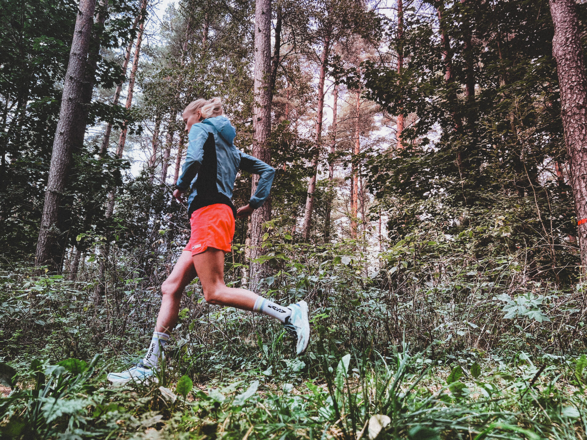 9af66d21 d545 4b0e a2c6 87697feb7f3e