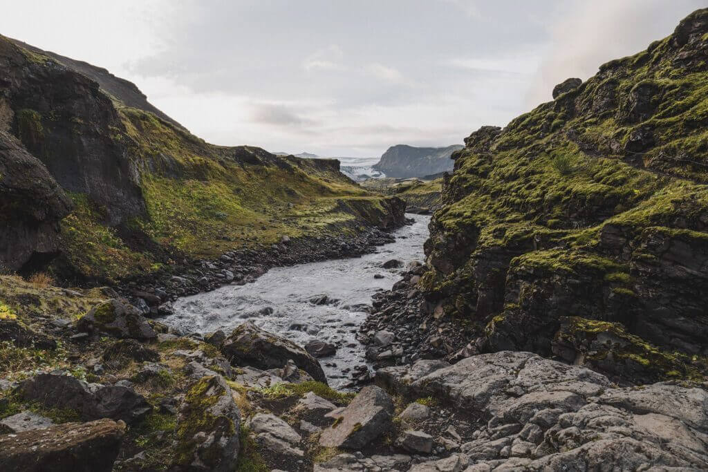 P1156648 1 1024x683 1