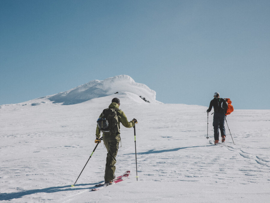 Proffsens val: topptursskidorna våra guider använder