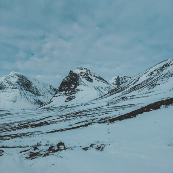 Whatsapp image 2025 04 21 at 10.35.36 (3)