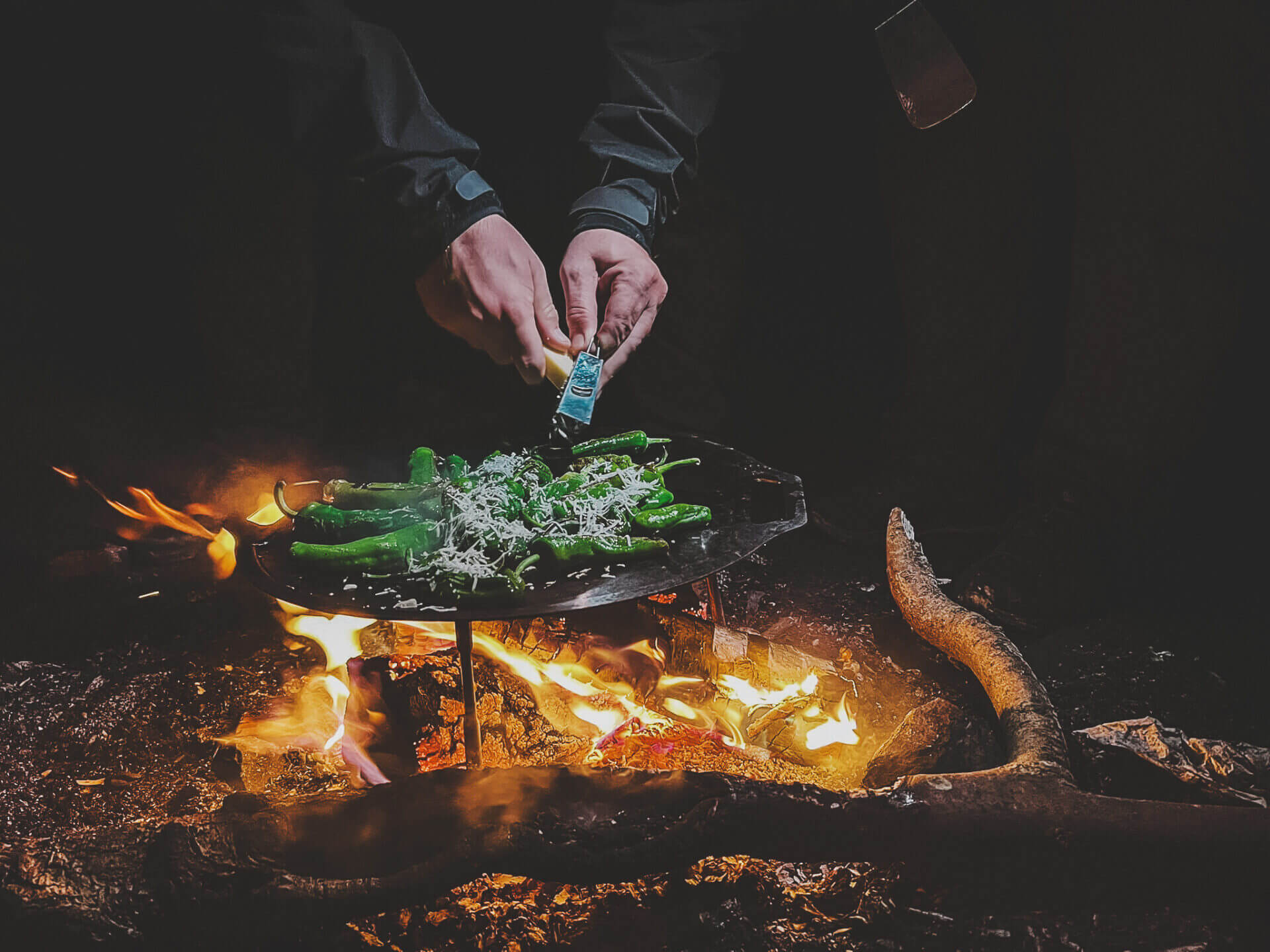 Whatsapp image 2025 11 04 at 17.20.17