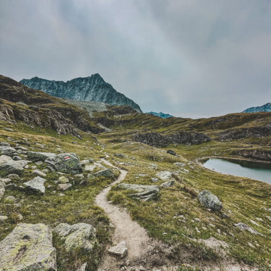 Whatsapp image 2026 01 08 at 17.42.42 (1)