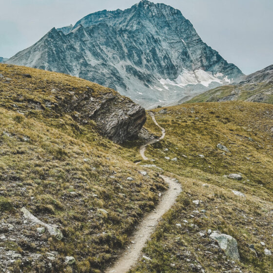 Whatsapp image 2026 01 08 at 17.42.42 (2)