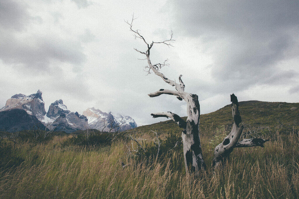 Foto: emma svensson/studio emma svensson